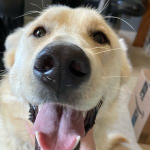 Meet your Posher, Brenda